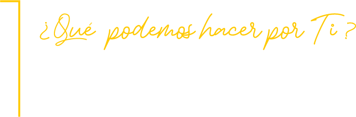 experiencia